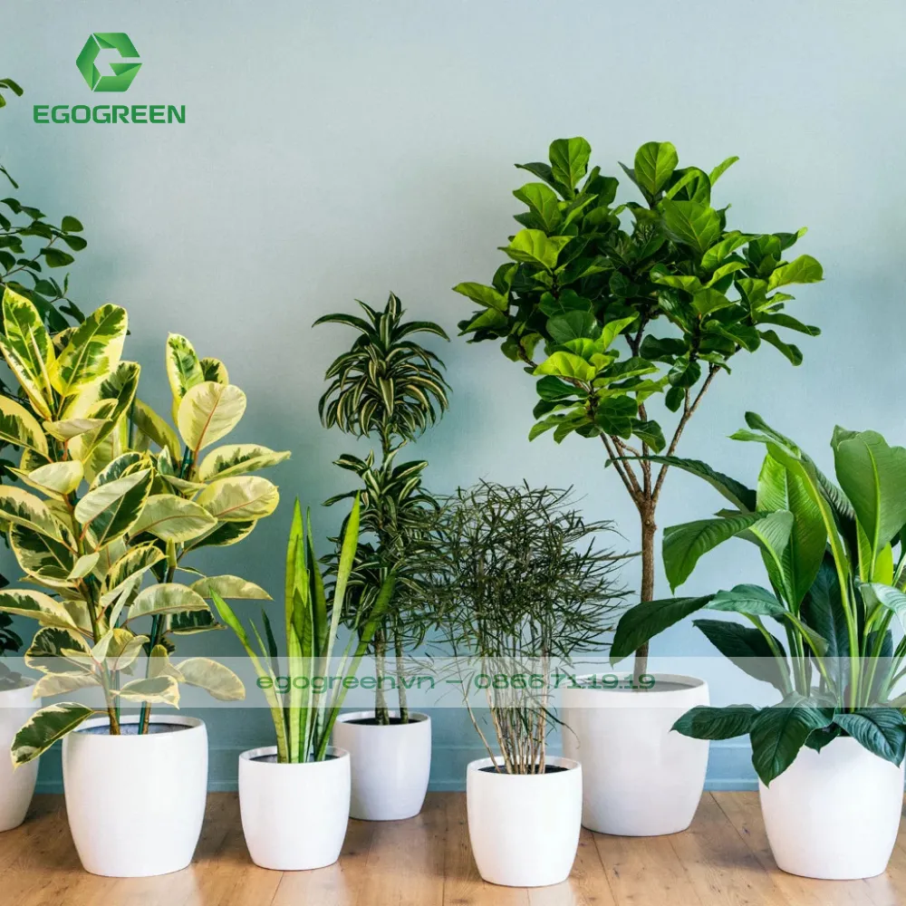 Quá trình thực hiện dự án theo đúng tiến độ